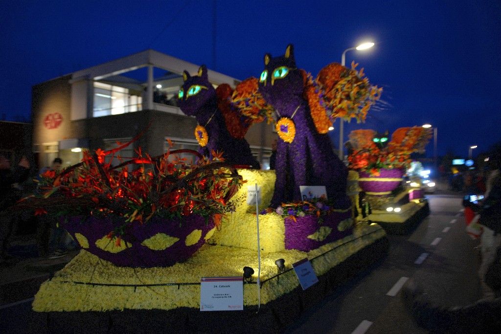 ../Images/Bloemencorso Noordwijkerhout 184.jpg